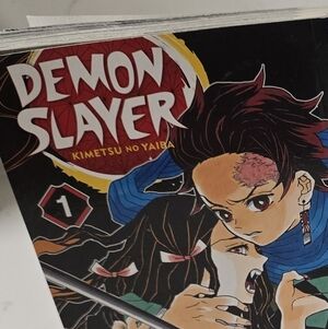 Demon Slayer Manga Volume 1